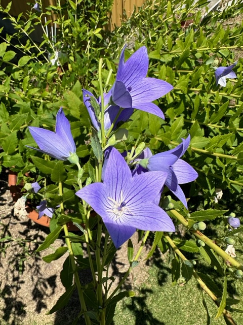 夏期休暇のお知らせ‼